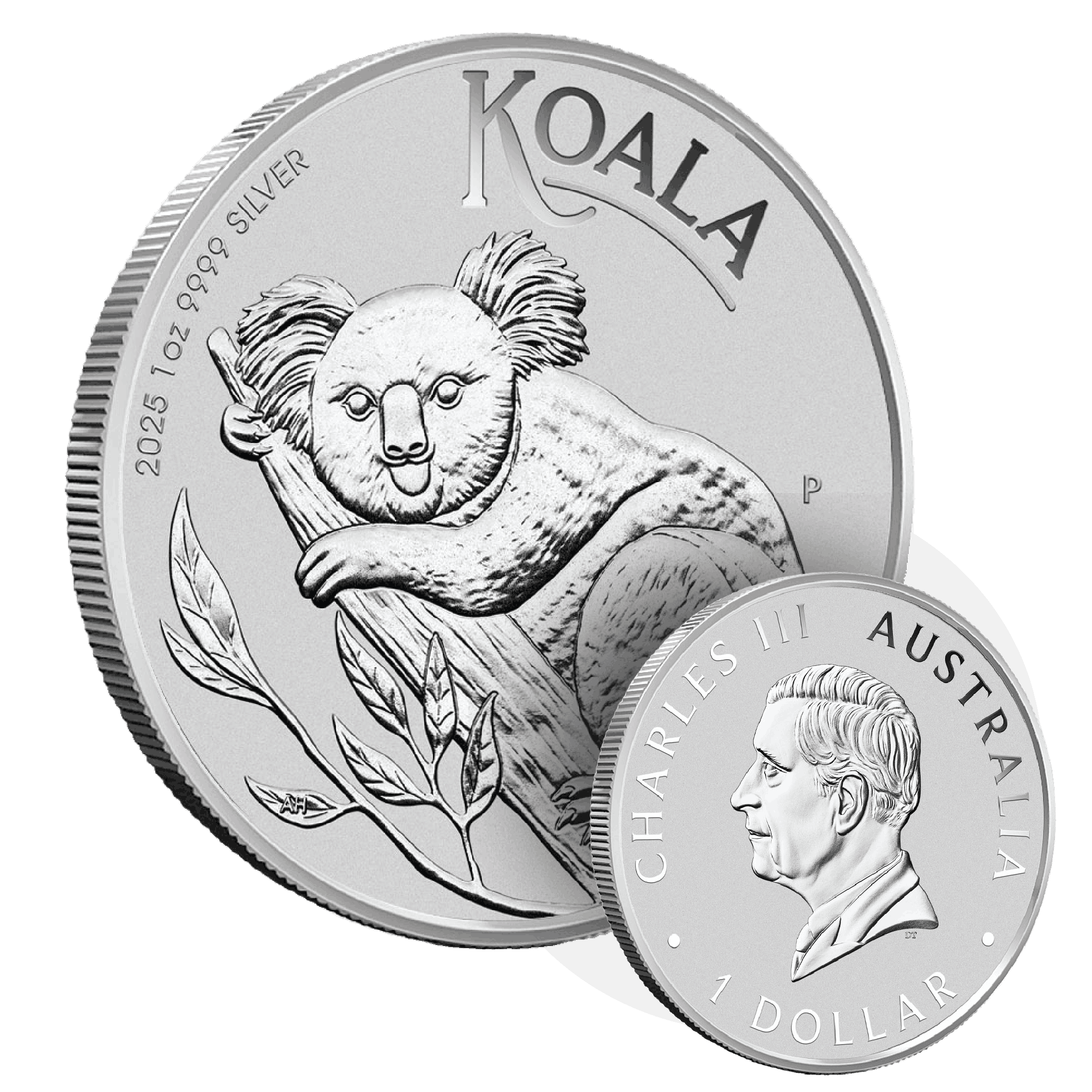 Koala_Carousel