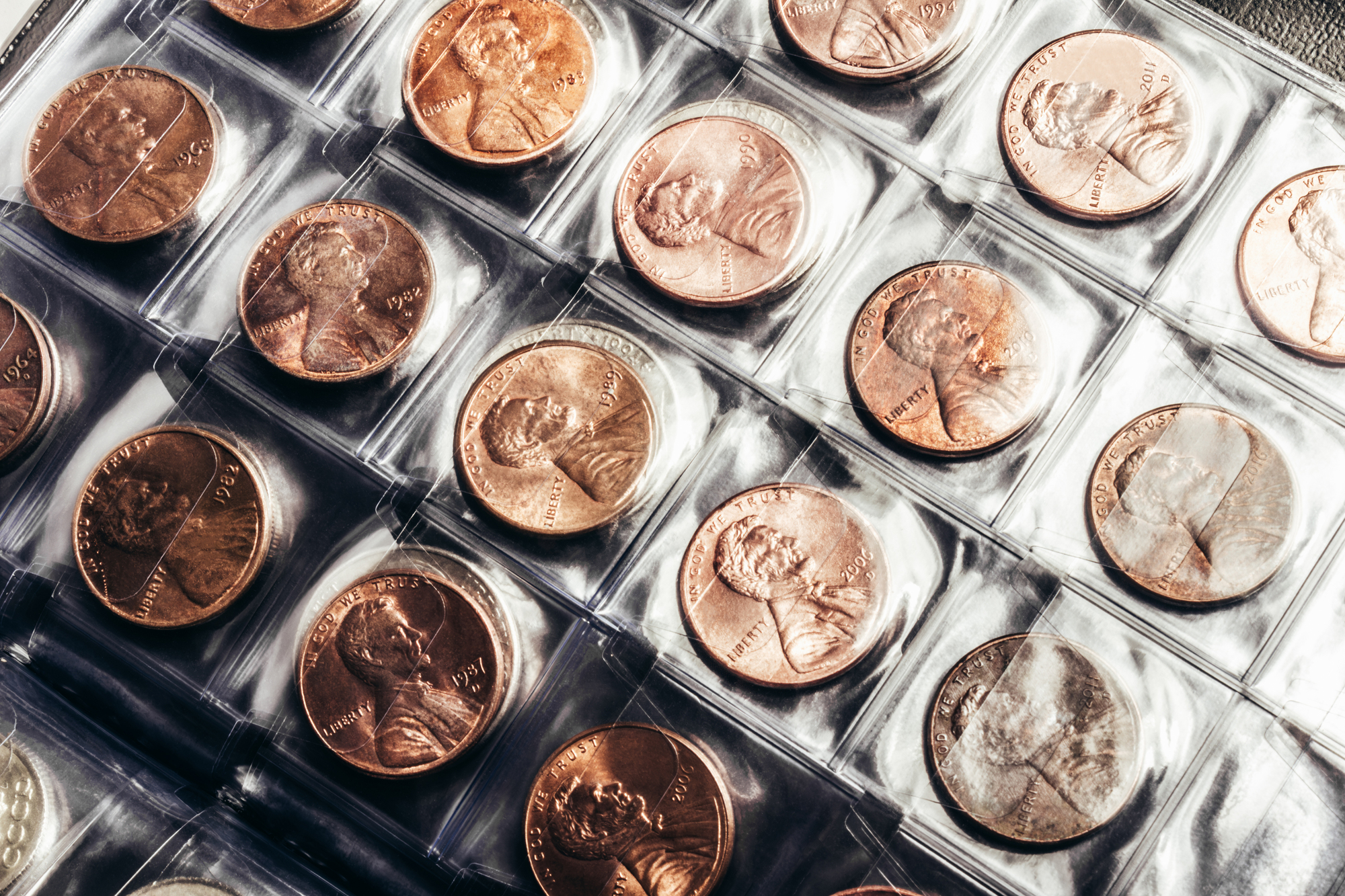 Coins in a protective case