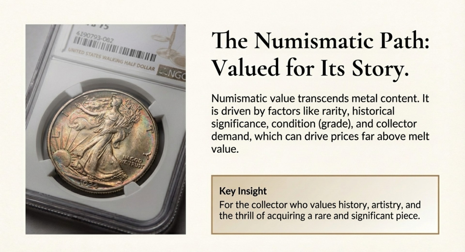 A visual representation of the numismatic path, highlighting the historical value of coins and their stories.