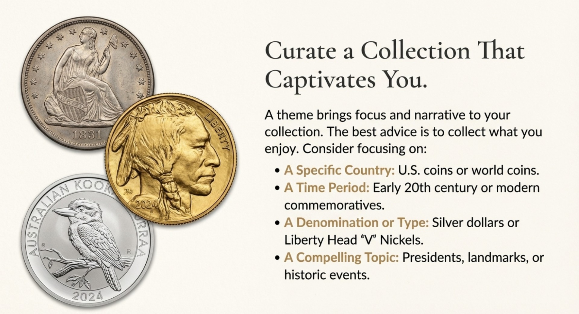 A display of various coins arranged neatly for viewing, showcasing their unique designs and historical significance.