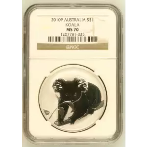 2010P KOALA (2)