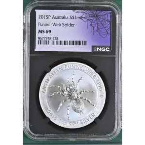 2015P Funnel-Web Spider (2)