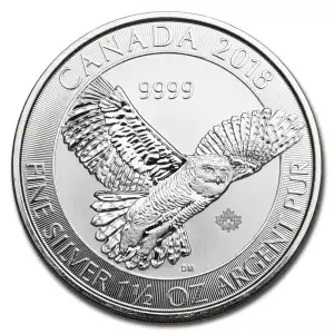 2018 Canadian 1.5oz Snowy Owl