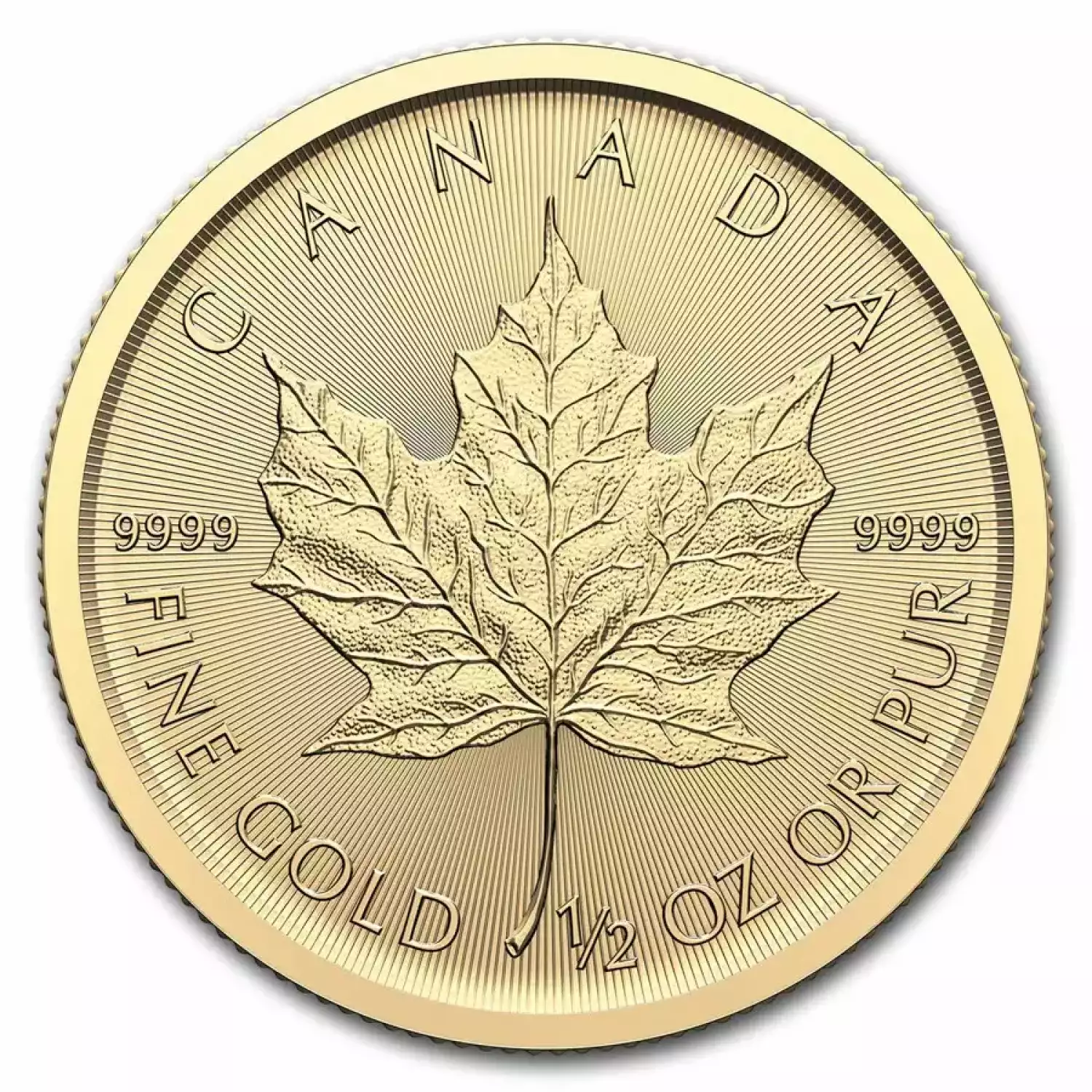 2024 1/2 oz Canadian Gold Maple Leaf