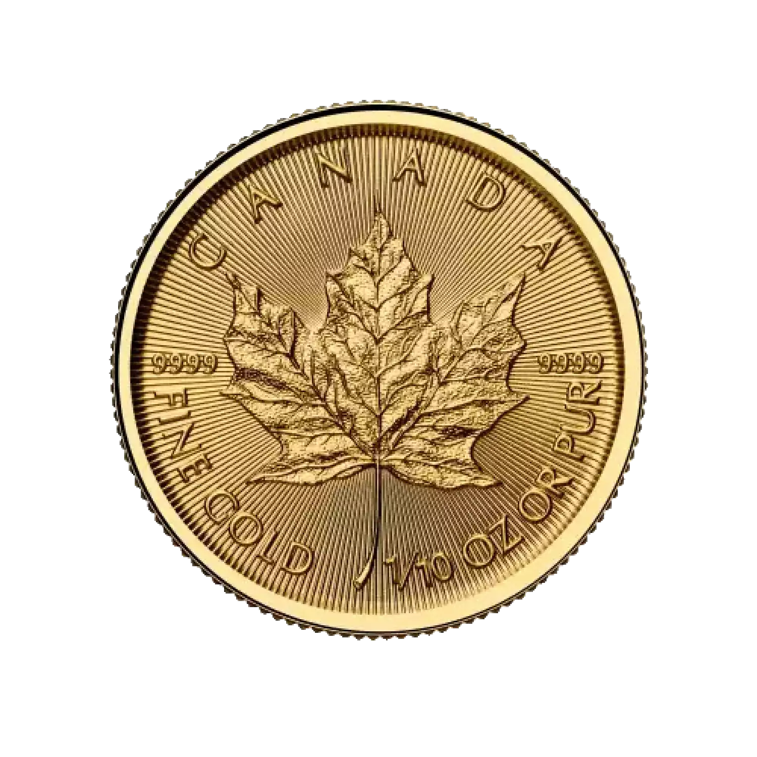 2025 1/10 oz Canadian Gold Maple Leaf Royal Canadian Mint Stout