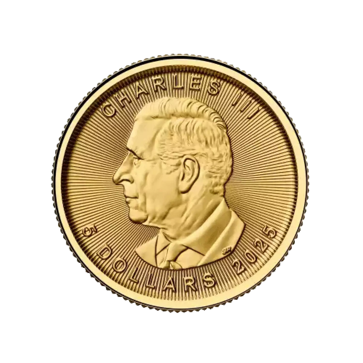 2025 1/10 oz Canadian Gold Maple Leaf Royal Canadian Mint Stout