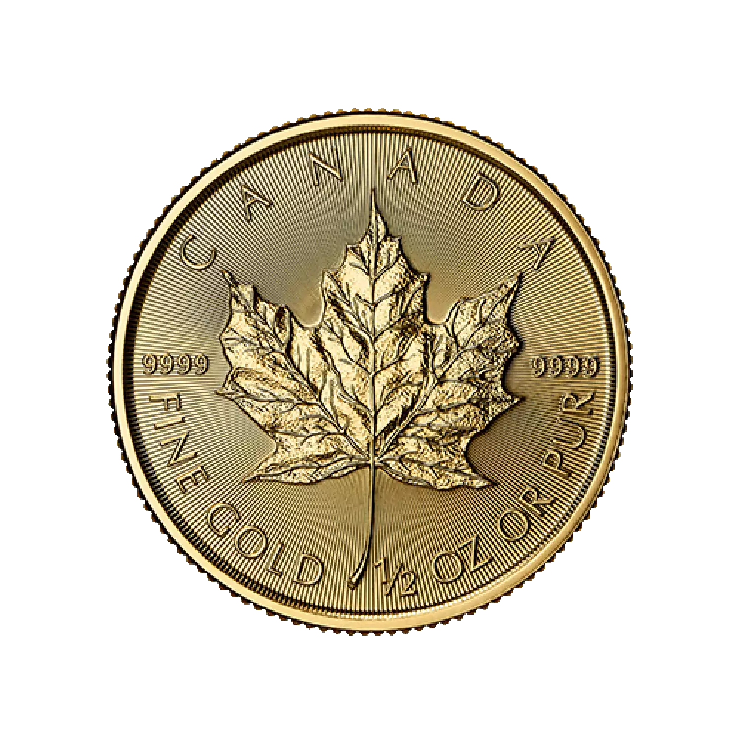 2025 1/2 oz Gold Maple Leaf Canadian Gold Stout Gold and Silver