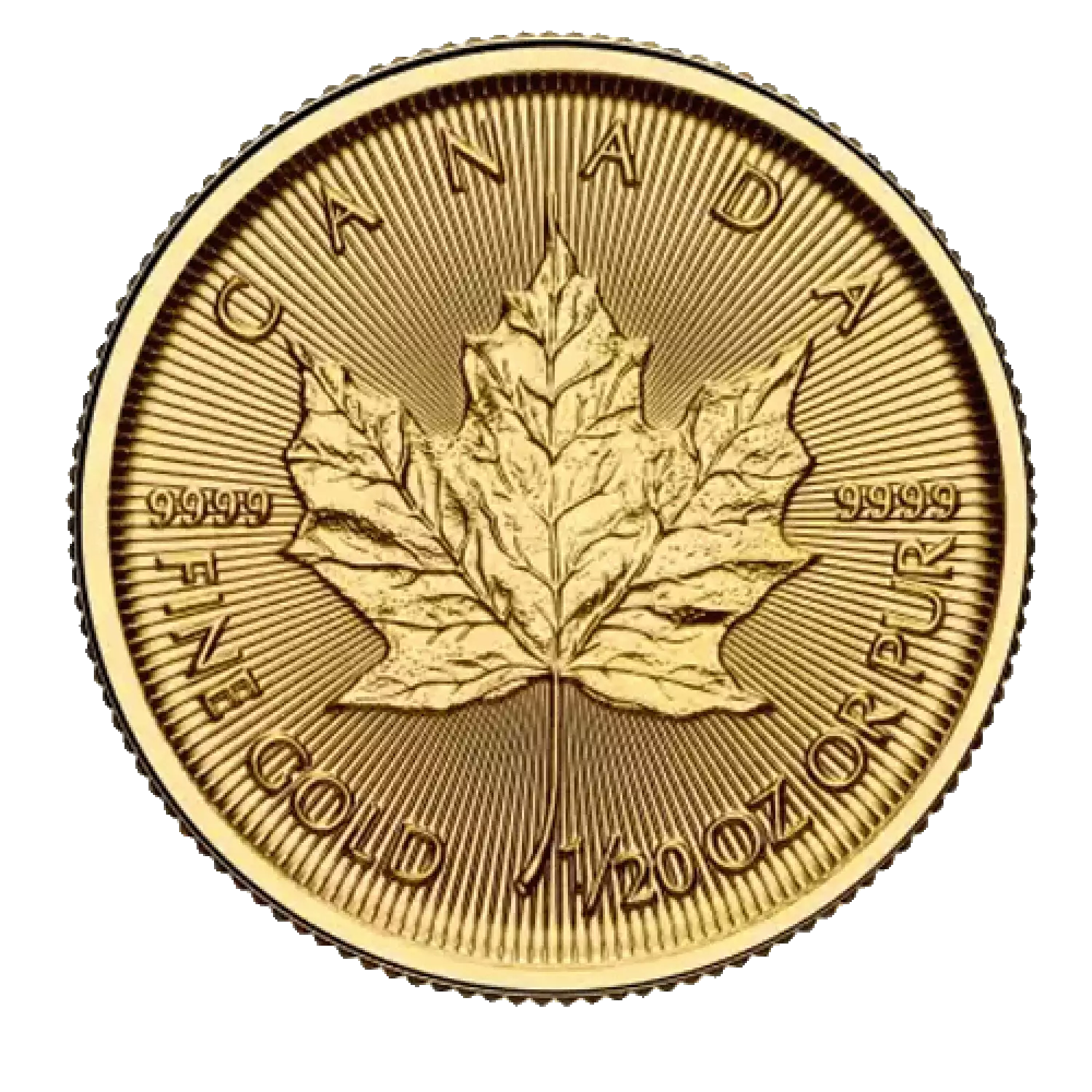 2025 1/20 oz Canadian Gold Maple Leaf Royal Canadian Mint Stout