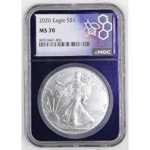 1oz Silver Eagle  - NGC MS 70 | Trader Bea Slab