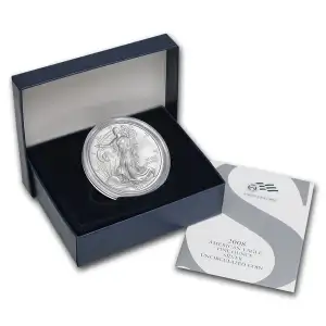 2008-W 1 oz Burnished American Silver Eagle (w/Box & COA) [DUPLICATE for #511931]
