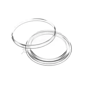 34mm Direct Fit Air-Tite Coin Capsule