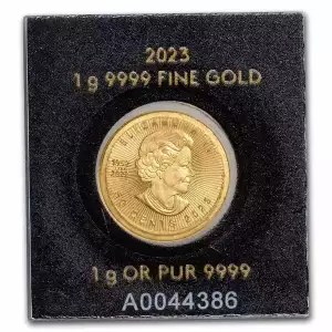 2023 1 Gram Gold Maple Leafs (Maplegram25)