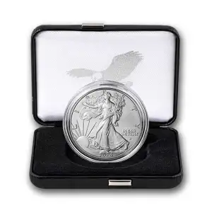 2024-W 1 oz Burnished American Silver Eagle (w/Box & COA) [DUPLICATE for #511933]